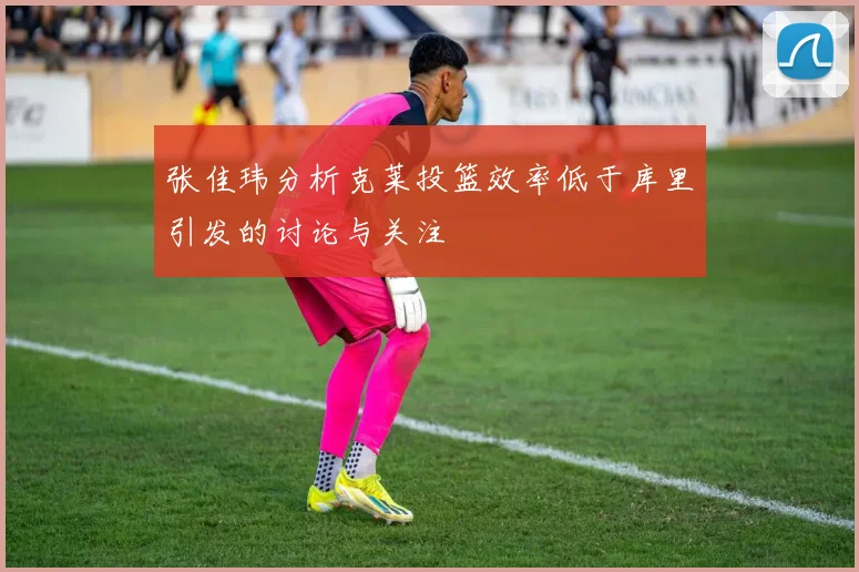 张佳玮分析克莱投篮效率低于库里引发的讨论与关注